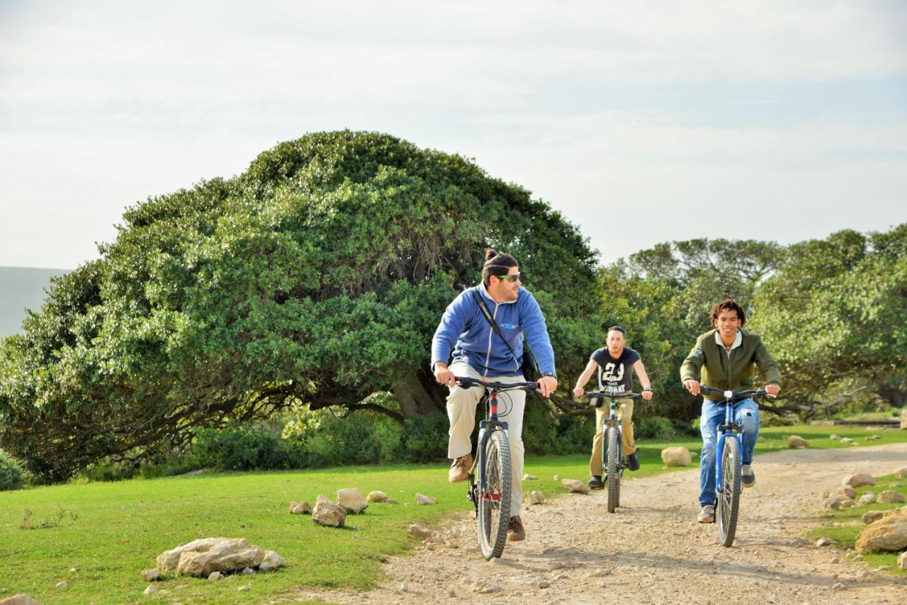 De Hoop Collection - Equipped Cottages De Hoop Nature Reserve Εξωτερικό φωτογραφία